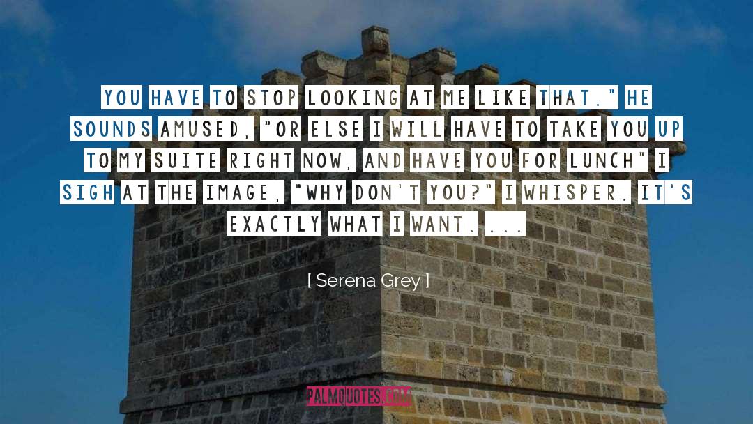 Serena Grey Quotes: You have to stop looking