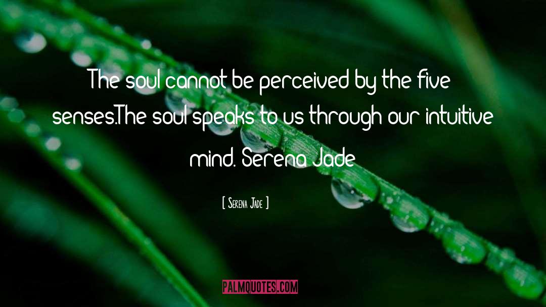 Serena Jade Quotes: The soul cannot be perceived