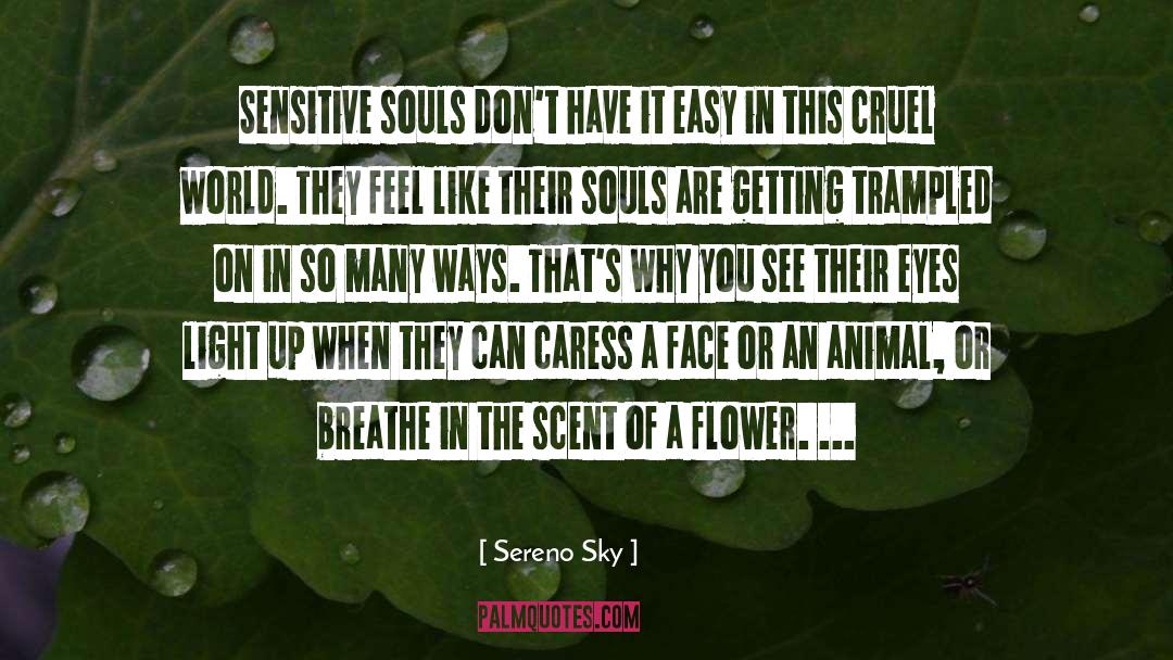 Sereno Sky Quotes: Sensitive souls don't have it