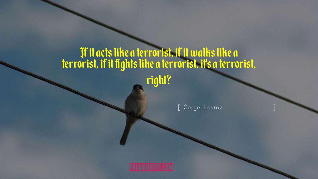 Sergei Lavrov Quotes: If it acts like a