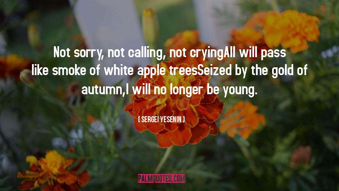 Sergei Yesenin Quotes: Not sorry, not calling, not