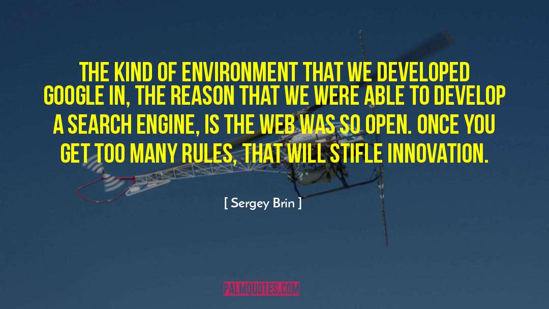 Sergey Brin Quotes: The kind of environment that