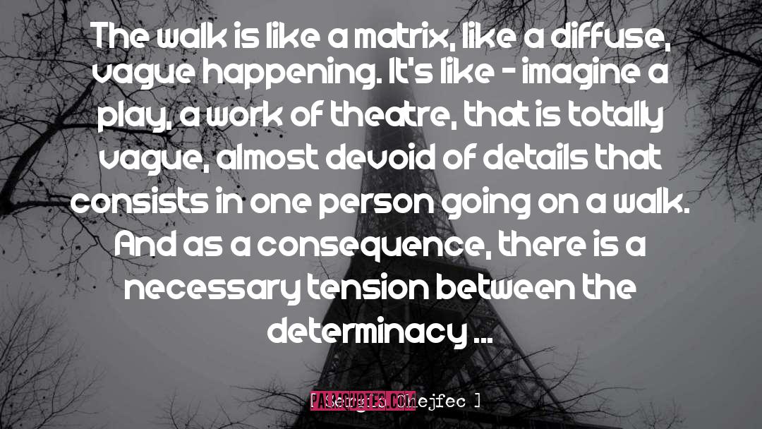 Sergio Chejfec Quotes: The walk is like a