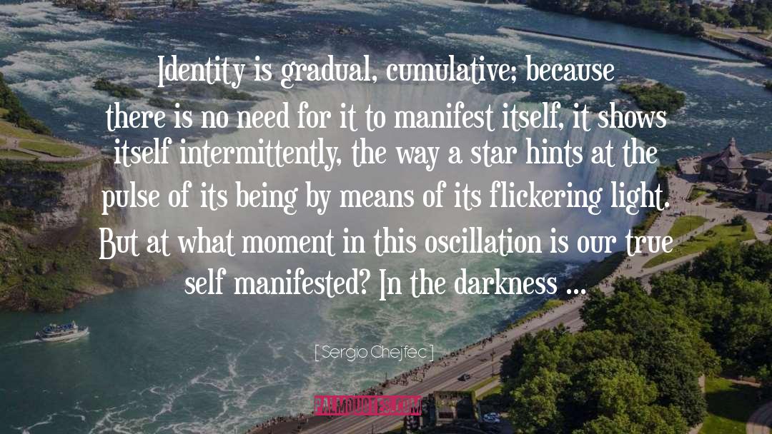 Sergio Chejfec Quotes: Identity is gradual, cumulative; because