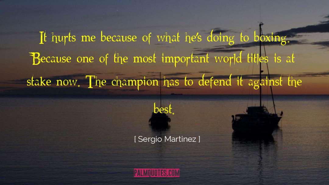 Sergio Martinez Quotes: It hurts me because of