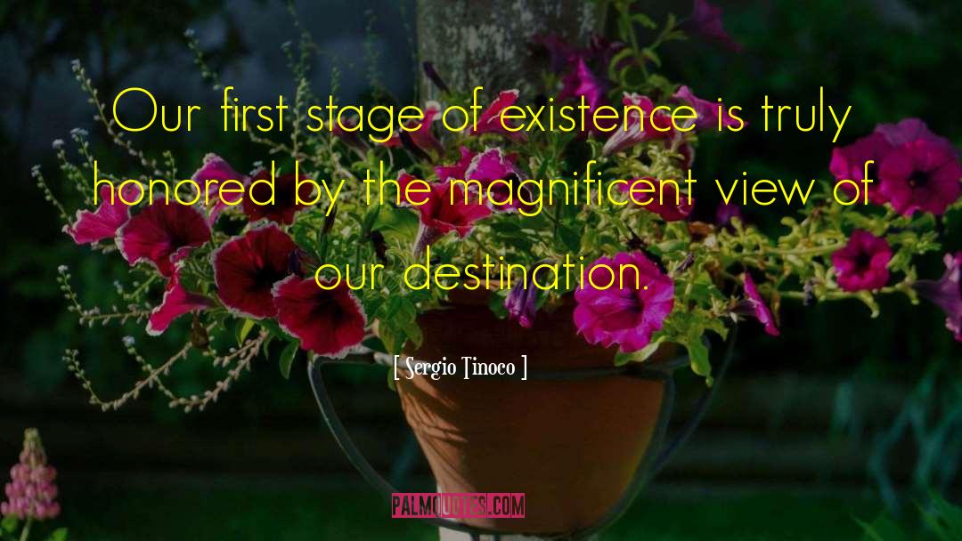 Sergio Tinoco Quotes: Our first stage of existence
