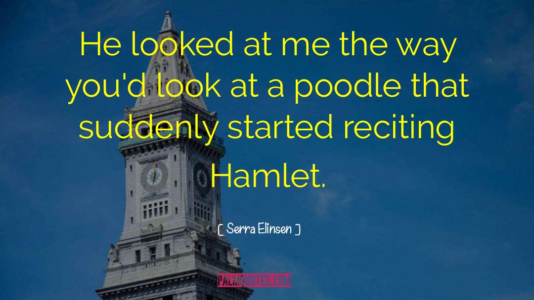 Serra Elinsen Quotes: He looked at me the