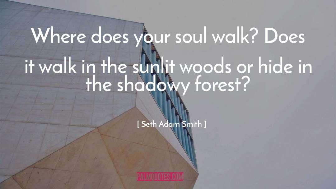 Seth Adam Smith Quotes: Where does your soul walk?