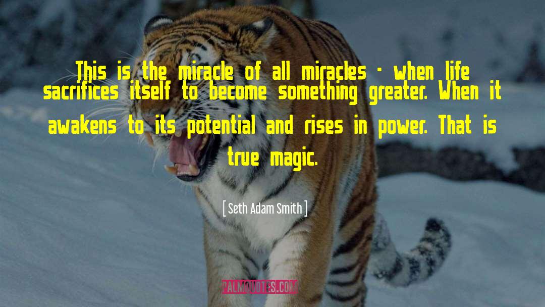 Seth Adam Smith Quotes: This is the miracle of