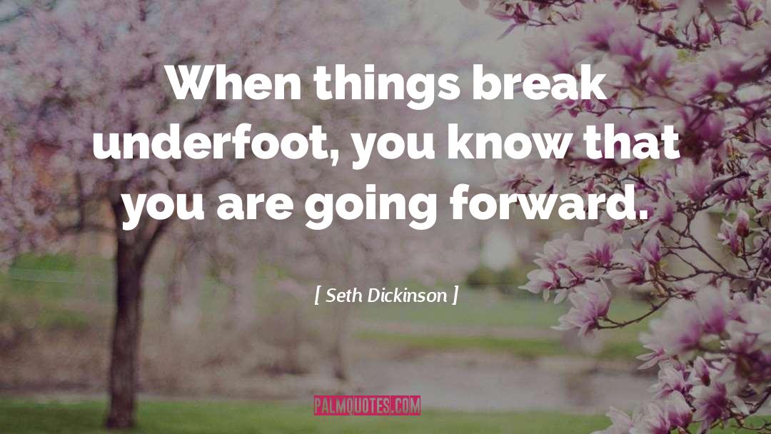 Seth Dickinson Quotes: When things break underfoot, you