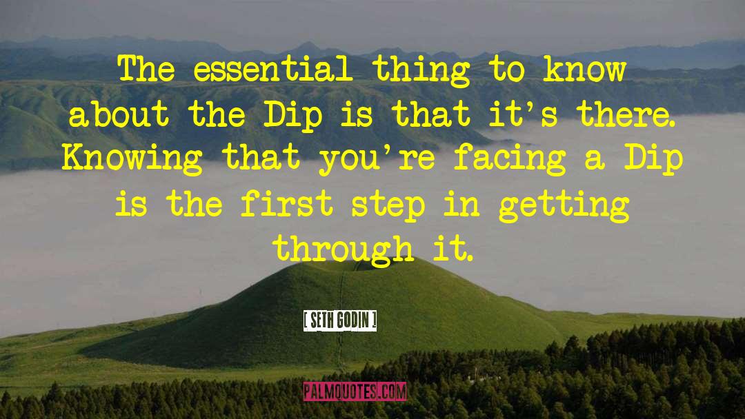 Seth Godin Quotes: The essential thing to know