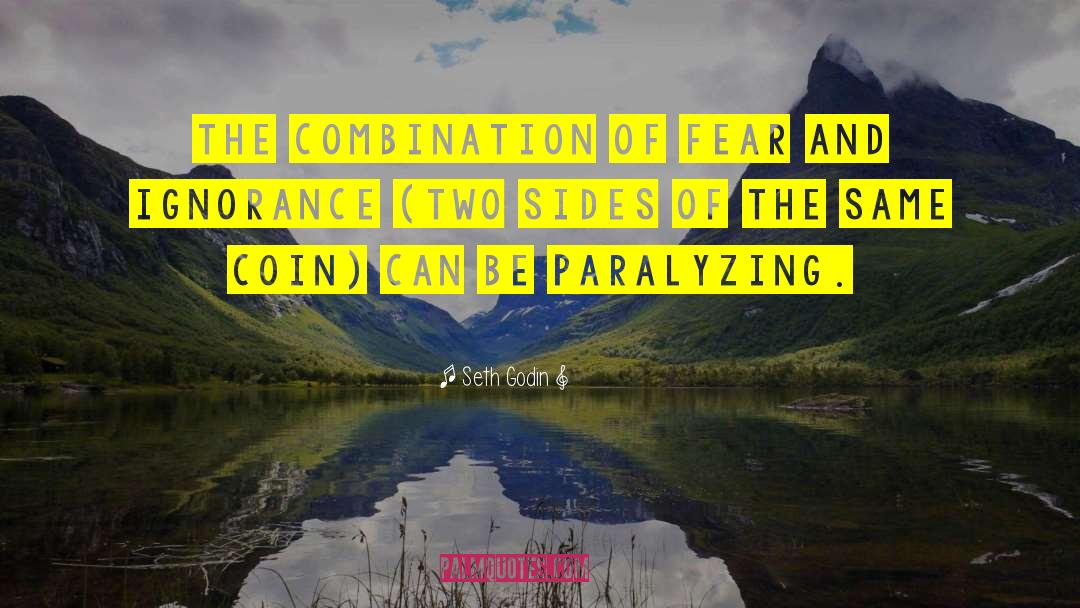 Seth Godin Quotes: The combination of fear and