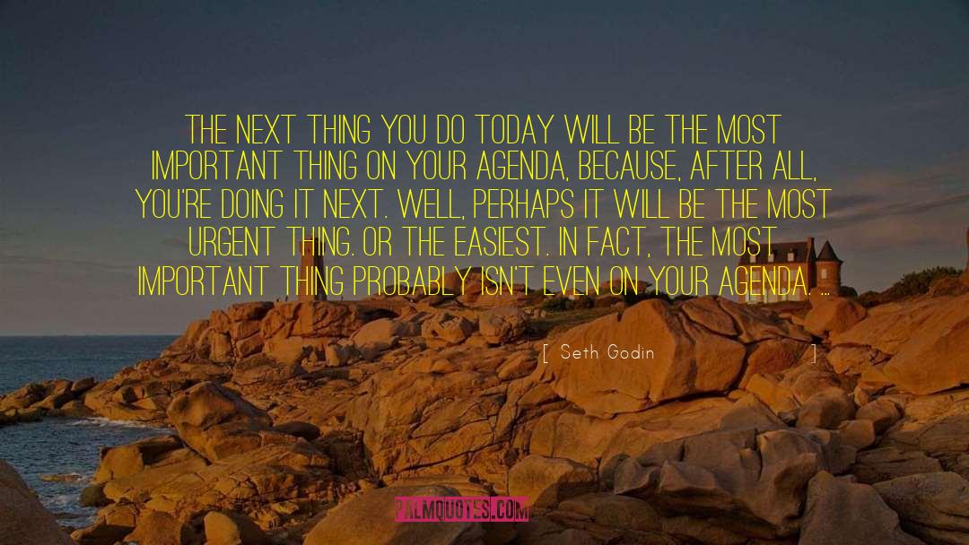 Seth Godin Quotes: The next thing you do