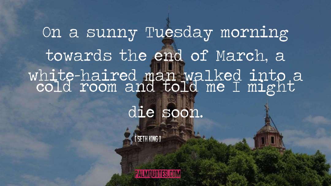 Seth King Quotes: On a sunny Tuesday morning