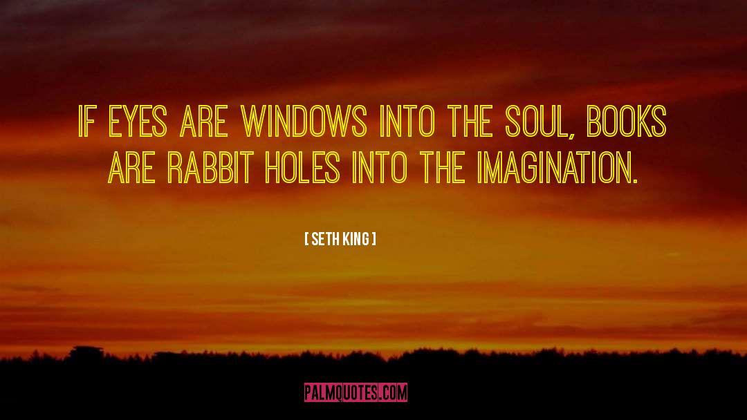 Seth King Quotes: If eyes are windows into