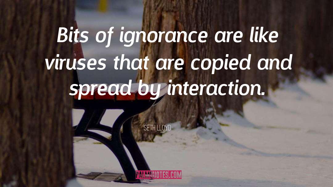 Seth Lloyd Quotes: Bits of ignorance are like