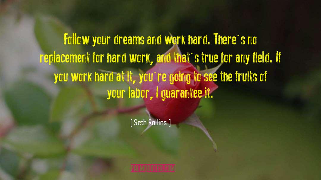 Seth Rollins Quotes: Follow your dreams and work