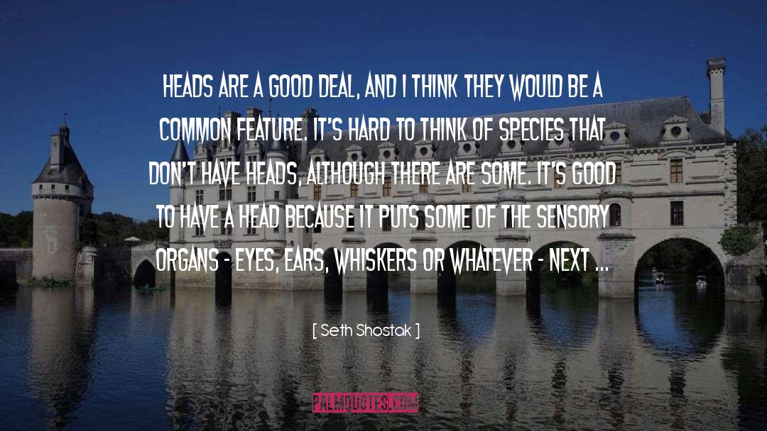Seth Shostak Quotes: Heads are a good deal,