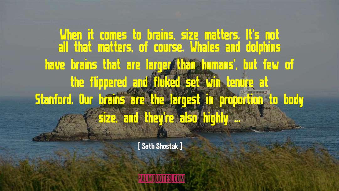 Seth Shostak Quotes: When it comes to brains,