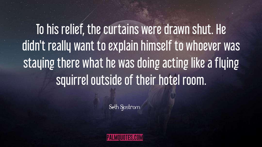 Seth Sjostrom Quotes: To his relief, the curtains