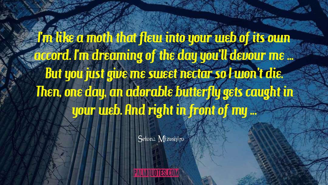 Setona Mizushiro Quotes: I'm like a moth that