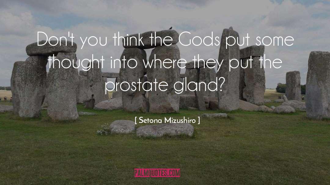 Setona Mizushiro Quotes: Don't you think the Gods