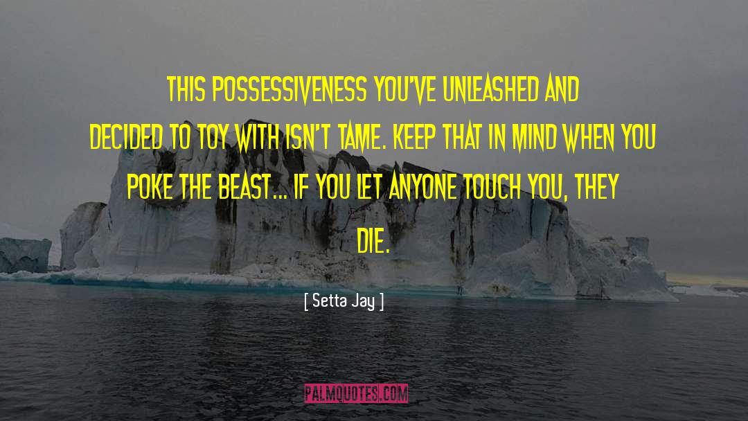 Setta Jay Quotes: This possessiveness you've unleashed and
