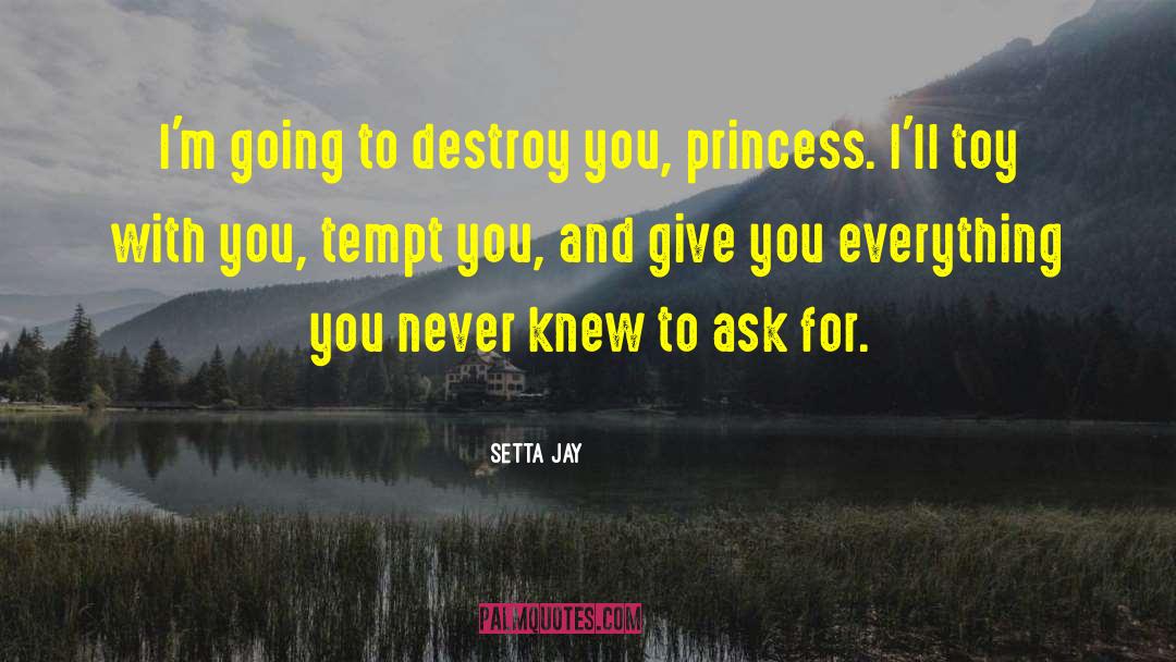 Setta Jay Quotes: I'm going to destroy you,