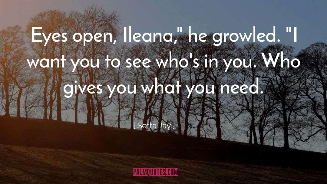 Setta Jay Quotes: Eyes open, Ileana,