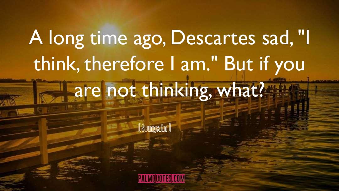 Seungsahn Quotes: A long time ago, Descartes