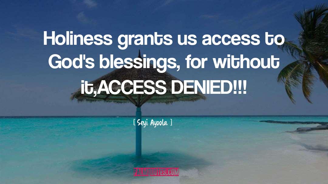 Seyi Ayoola Quotes: Holiness grants us access to