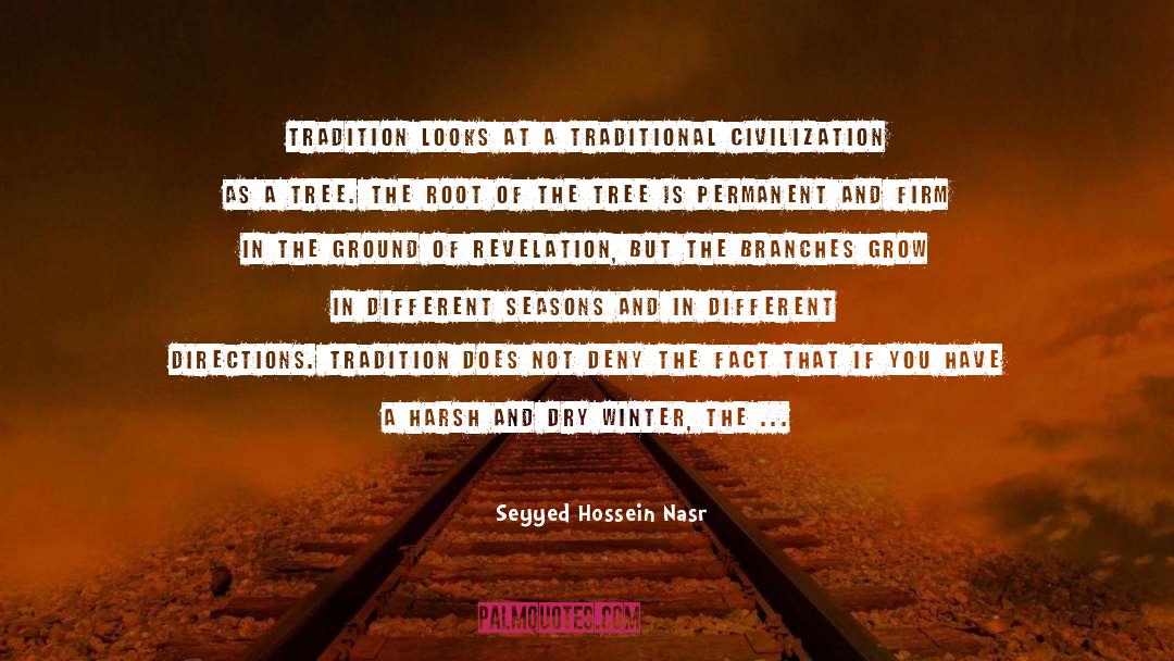 Seyyed Hossein Nasr Quotes: Tradition looks at a traditional