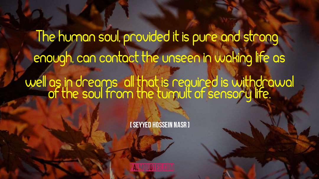 Seyyed Hossein Nasr Quotes: The human soul, provided it