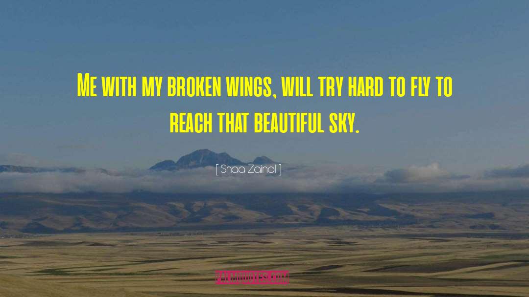 Shaa Zainol Quotes: Me with my broken wings,