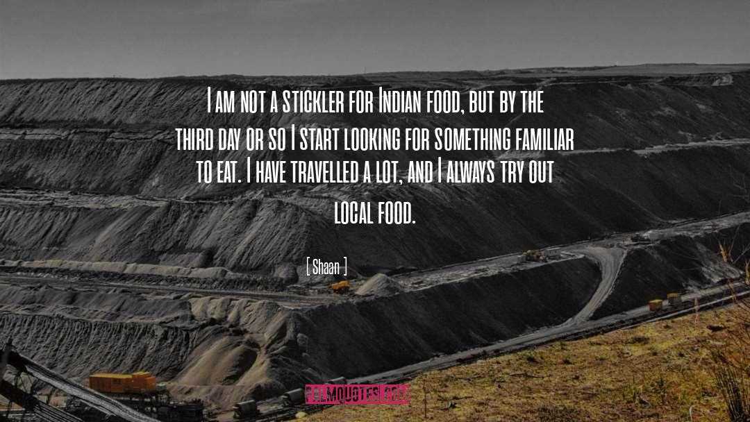 Shaan Quotes: I am not a stickler