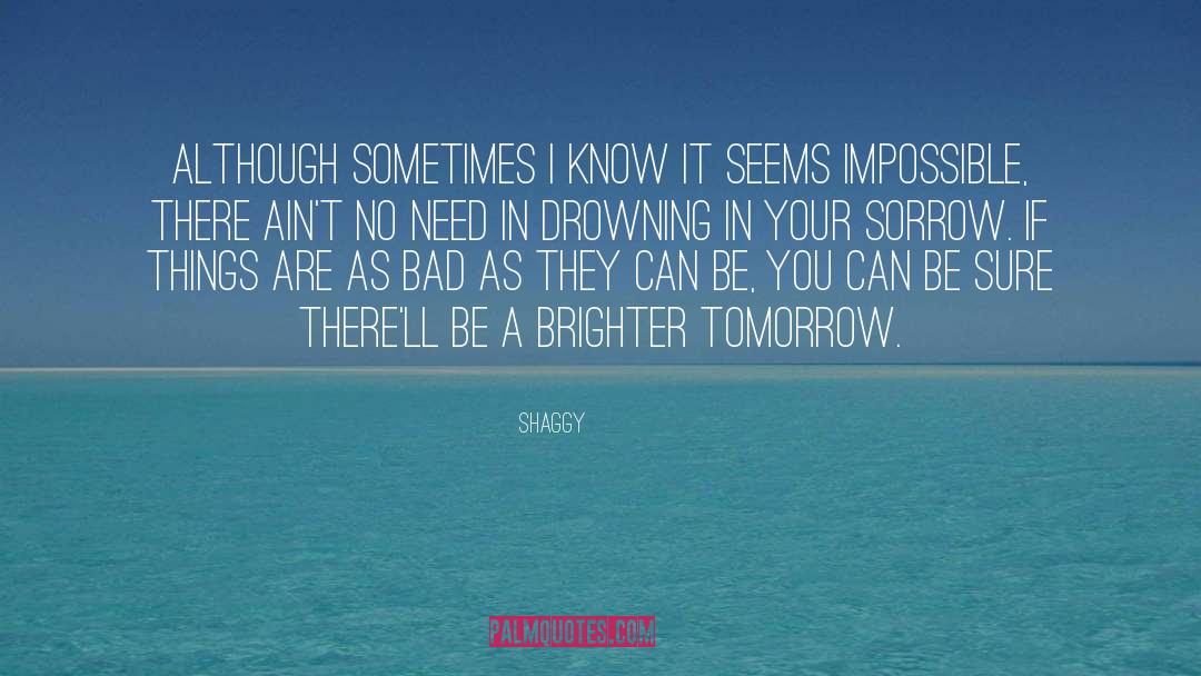 Shaggy Quotes: Although sometimes I know it