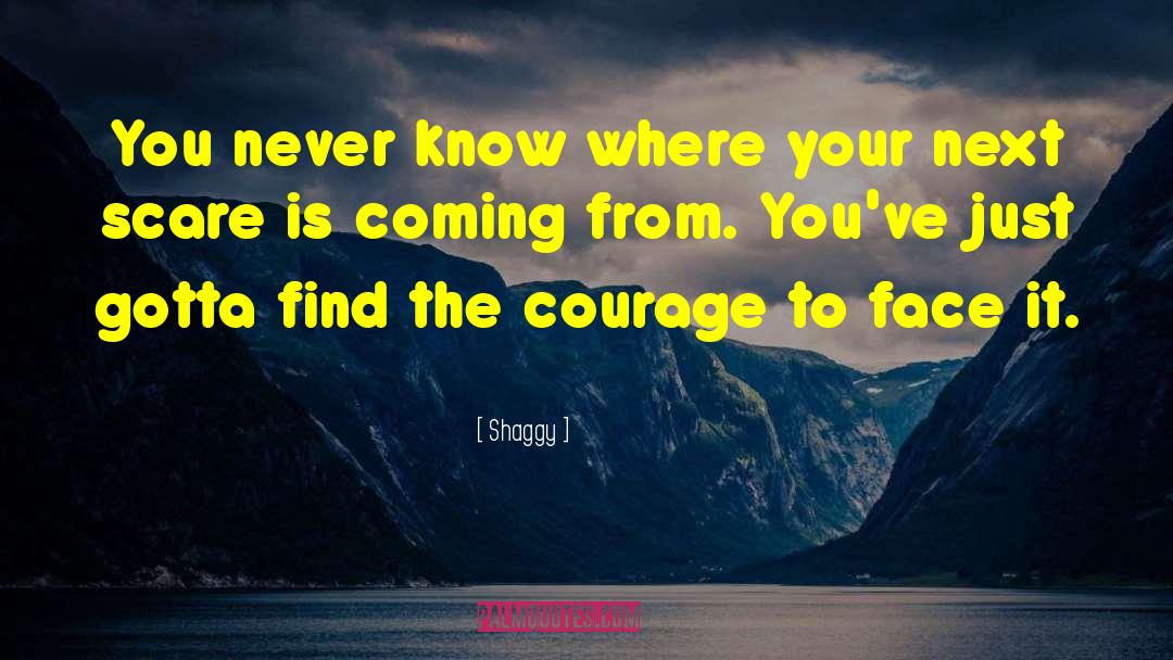 Shaggy Quotes: You never know where your