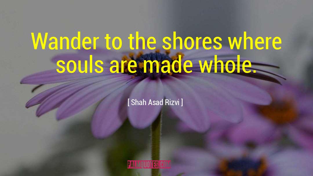 Shah Asad Rizvi Quotes: Wander to the shores where