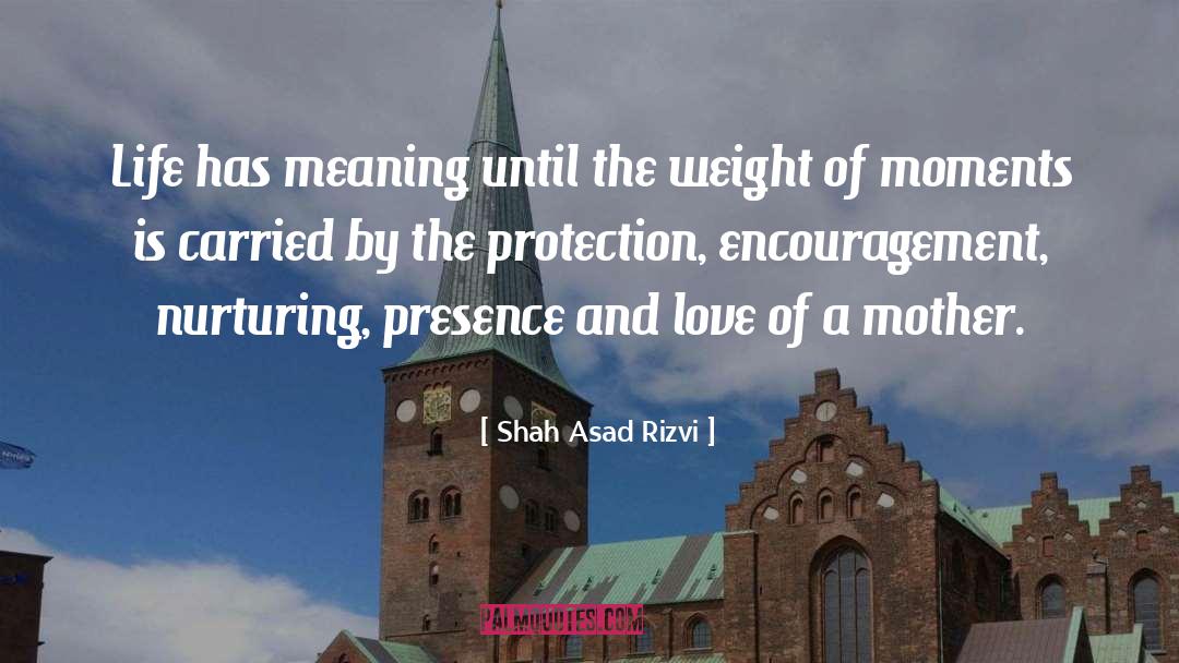 Shah Asad Rizvi Quotes: Life has meaning until the