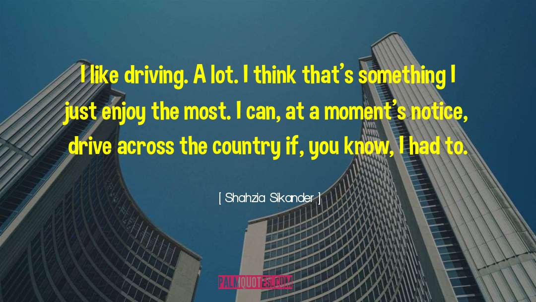 Shahzia Sikander Quotes: I like driving. A lot.