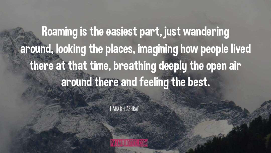 Shaikh Ashraf Quotes: Roaming is the easiest part,