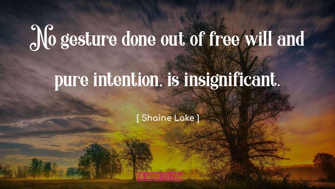 Shaine Lake Quotes: No gesture done out of