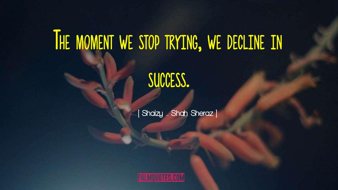 Shaizy - Shah Sheraz Quotes: The moment we stop trying,