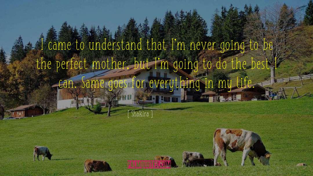 Shakira Quotes: I came to understand that