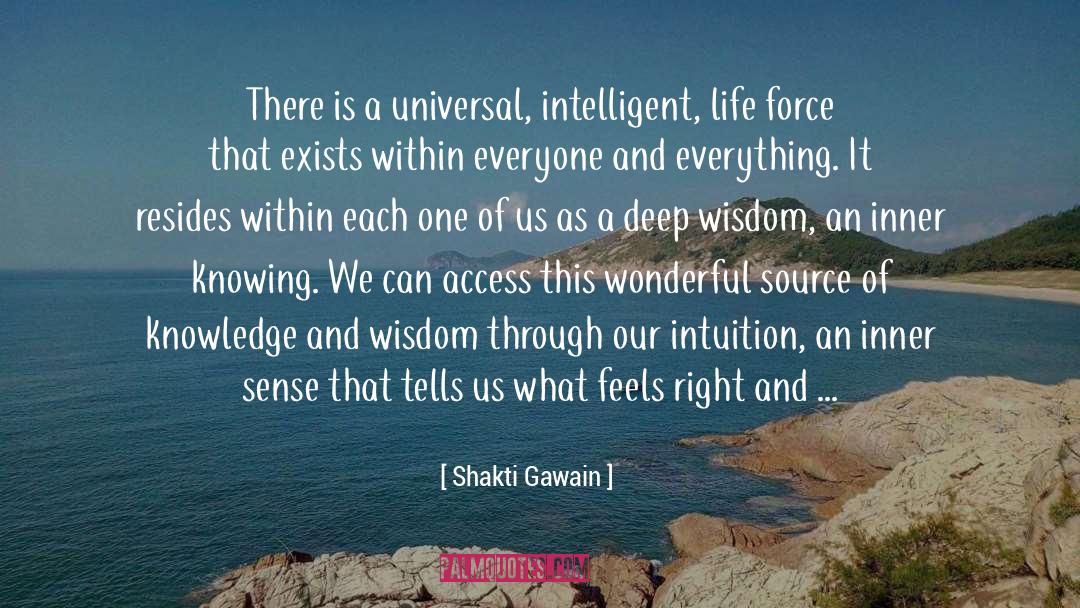 Shakti Gawain Quotes: There is a universal, intelligent,