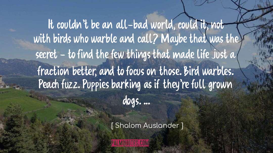 Shalom Auslander Quotes: It couldn't be an all-bad