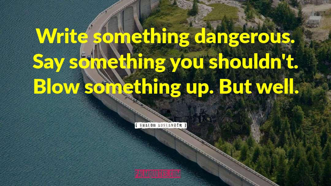 Shalom Auslander Quotes: Write something dangerous. Say something