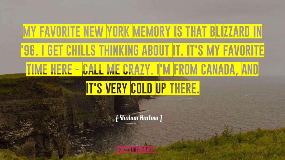 Shalom Harlow Quotes: My favorite New York memory