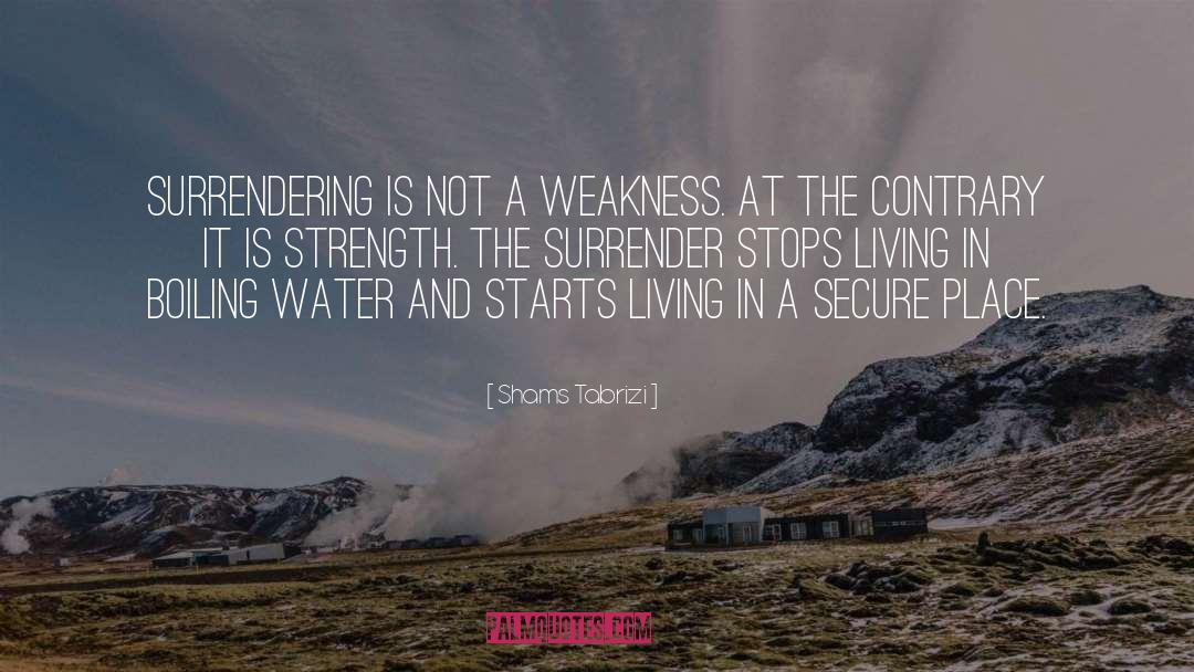 Shams Tabrizi Quotes: Surrendering is not a weakness.