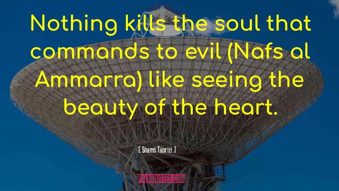 Shams Tabrizi Quotes: Nothing kills the soul that